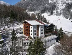 Ferienhotel Aussicht | Tirol - Schwaz District - Schwaz (ve civarı) - Finkenberg