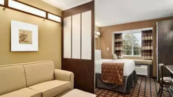 Microtel Inn & Suites by Wyndham Round Rock | Teksas - Austin (ve civarı) - Round Rock