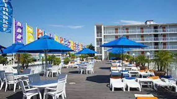 Spinnaker Motel | Maryland - Ocean City (ve civarı) - Ocean City