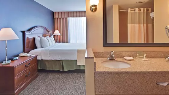 Holiday Inn Hotel & Suites Anaheim | Kaliforniya - Orange County - Anaheim - Anaheim Resort