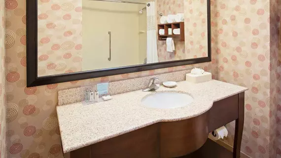 Hampton Inn & Suites Chicago North Shore | İllinois - Skokie