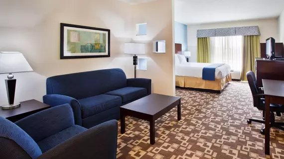 Holiday Inn Express Hotel & Suites Atlanta Airport West - Camp Creek | Georgia - Atlanta (ve civarı) - Atlanta