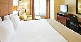 Holiday Inn Express Hotel and Suites Dallas East | Teksas - Dallas (ve civarı) - Dallas