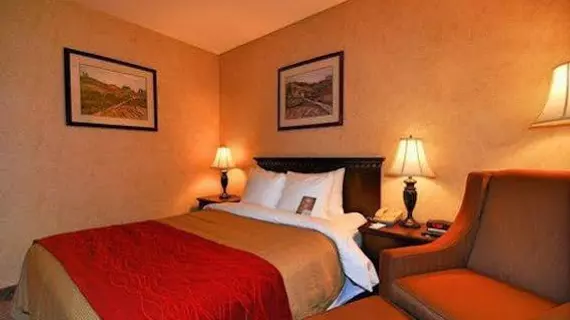 Comfort Inn Escondido | Kaliforniya - San Diego County - Escondido