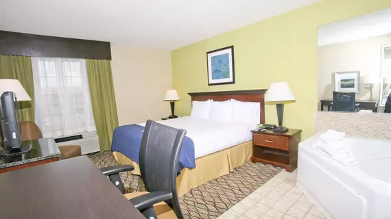 Holiday Inn Express Hotel & Suites Roseville | Michigan - Detroit (ve civarı) - Roseville