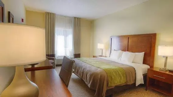 Americas Best Value Inn Fort Myers | Florida - Fort Myers (ve civarı) - Fort Myers