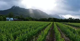 Lanzerac Hotel & Spa | Western Cape (il) - West Coast DC - Drakenstein - Cape Town (ve civarı) - Stellenbosch