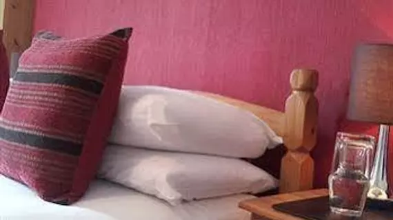 Phoenix Guest House | Doğu Sussex (kontluk) - Hastings