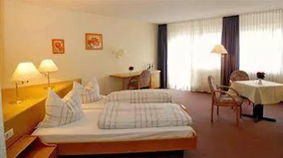 TIPTOP Hotel Hirt | Baden-Wuerttemberg - Deisslingen