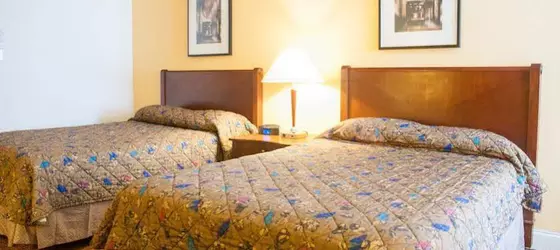 The Midtown Motel | Louisiana - New Orleans (ve civarı) - New Orleans - Mid-City