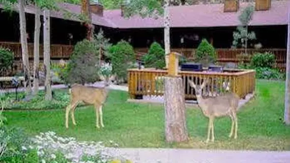 Shadow Mountain Lodge and Cabins | New Mexico - Ruidoso (ve civarı) - Ruidoso