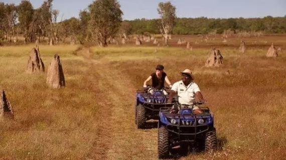 Wildman Wilderness Lodge | Kuzey Bölgesi - Point Stuart