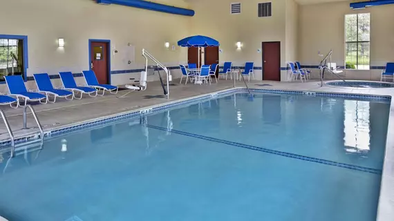 Holiday Inn Express Hotel & Suites Woodhaven | Michigan - Detroit (ve civarı) - Woodhaven