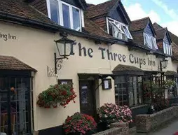 The Three Cups Inn | Hampshire (kontluk) - Stockbridge