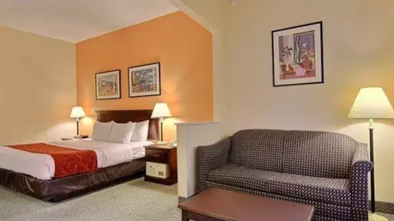 Comfort Suites Airport | Florida - Jacksonville (ve civarı) - Jacksonville