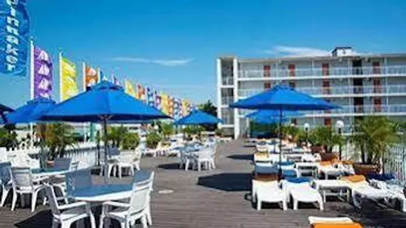 Spinnaker Motel | Maryland - Ocean City (ve civarı) - Ocean City