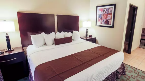 BEST WESTERN PLUS EASTGATE INN | Kansas - Wichita (ve civarı) - Viçita