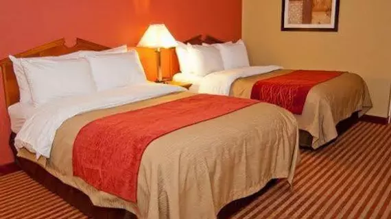 Comfort Inn and Suites Cincinnati | Ohio - Cincinnati (ve civarı) - Cincinnati