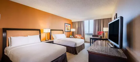 DoubleTree by Hilton Anaheim/Orange County | Kaliforniya - Orange County - Anaheim - Anaheim Resort