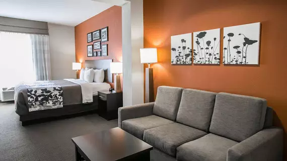 Sleep Inn & Suites - I-45/ Airtex | Teksas - Houston (ve civarı) - Houston