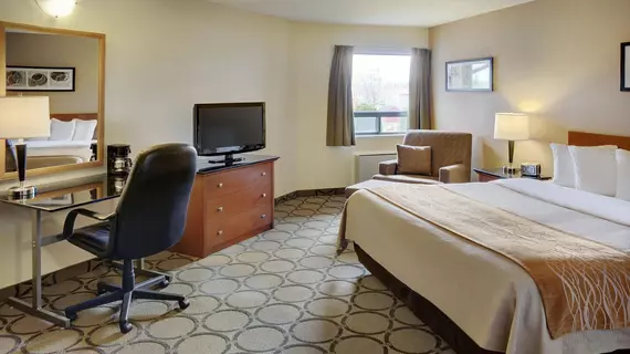 Comfort Inn Airport East | Quebec - Quebec (ve civarı) - L'Ancienne-Lorette