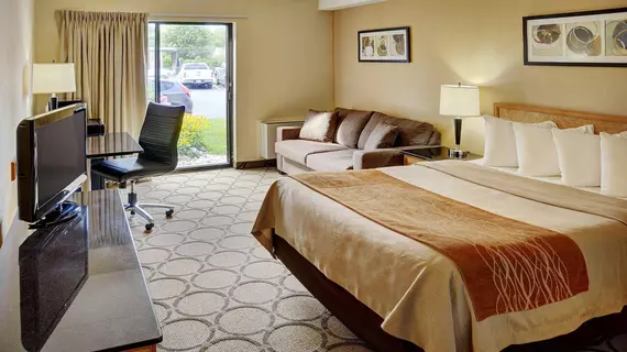 Comfort Inn Laval | Quebec - Montreal (ve civarı) - Laval