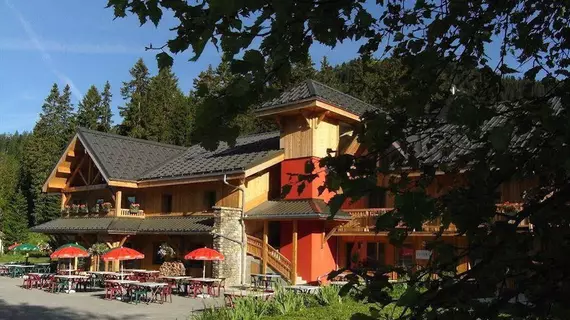 Chalet Hotel Vaccapark | Auvergne-Rhone-Alpes - Haute-Savoie (bölge) - Mieussy