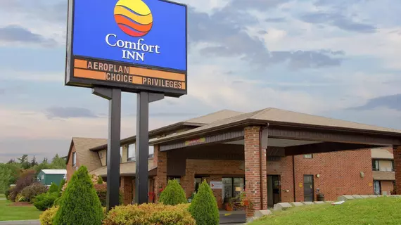 Comfort Inn Fredericton | New Brunswick - Fredericton (ve civarı) - Fredericton