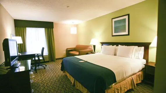 Holiday Inn Express Hotel & Suites Roseville | Michigan - Detroit (ve civarı) - Roseville