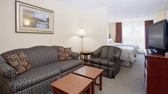 Staybridge Suites Denver Tech Center | Kolorado - Denver (ve civarı) - Englewood