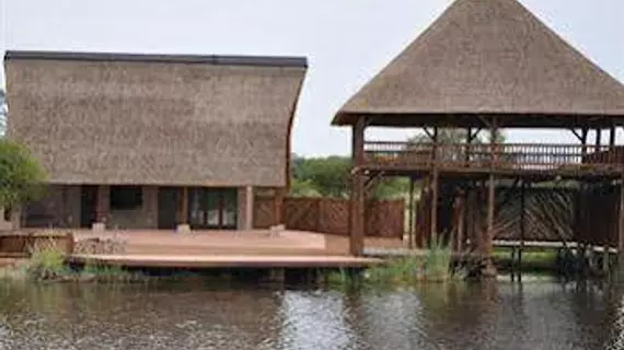 Mongena Game Lodge | Gauteng - City of Tshwane - Johannesburg (ve civarı) - Hammanskraal