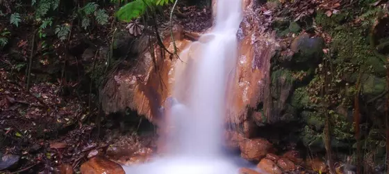 Blue River Resort & Hot Springs | Alajuela (ili) - Guayabo