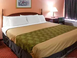 Econo Lodge | Tennessee - Caryville (ve civarı) - Rocky Top