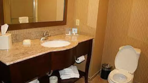 Hampton Inn Elmira/Horseheads | New York - Elmira (ve civarı) - Horseheads