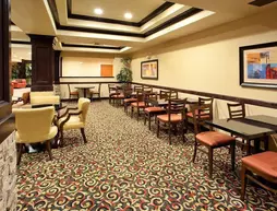 Holiday Inn Express Hotel & Suites Lincoln-Roseville Area | Kaliforniya - Sacramento (ve civarı) - Lincoln