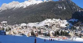 Laurino | Trentino-Alto Adige - Trento İli - Moena