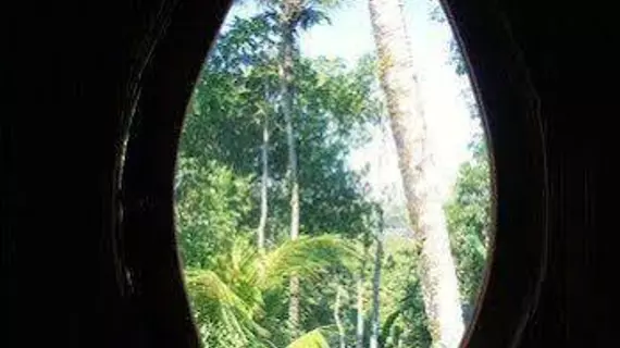 Shriman Yoga Bungalows | Bali - Ubud - Ubud Kent Merkezi