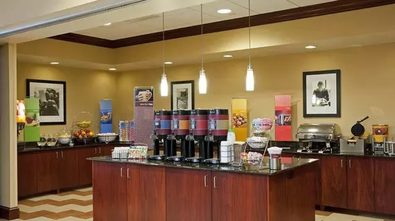 Hampton Inn & Suites Indianapolis-Airport | Indiana - Indianapolis (ve civarı) - Indianapolis