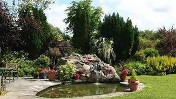 Ashleigh House B&B | Waterford (kontluk) - Waterford