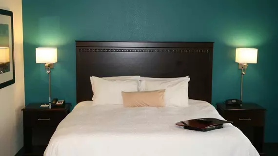 Hampton Inn & Suites Smithfield | Virginia - Norfolk - Virginia Beach (ve civarı) - Smithfield