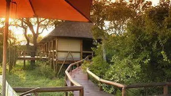 Camp Shonga | Mpumalanga - Mbombela - Kruger National Park