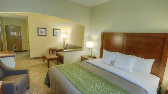 Americas Best Value Inn Fort Myers | Florida - Fort Myers (ve civarı) - Fort Myers