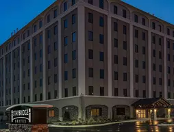 Staybridge Suites Atlanta Airport | Georgia - Atlanta (ve civarı) - East Point