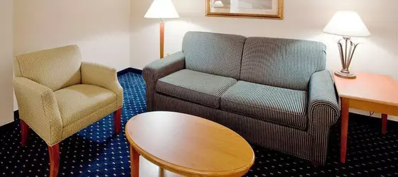 Holiday Inn Express Hotel & Suites Waynesboro-Route 340 | Virginia - Staunton (ve civarı) - Waynesboro