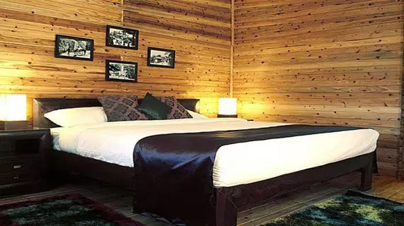 Aamod Resort - Shoghi | Himaşal Pradeş - Kandāghāt