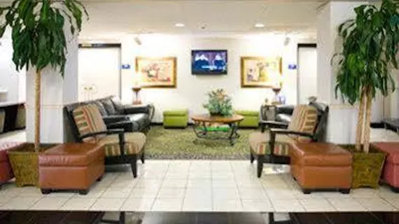 Baymont Inn & Suites Tampa Near Busch Gardens | Florida - Tampa (ve civarı) - Tampa