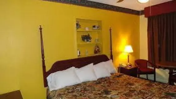 Ellijay Inn | Georgia - Blue Ridge (ve civarı) - Ellijay