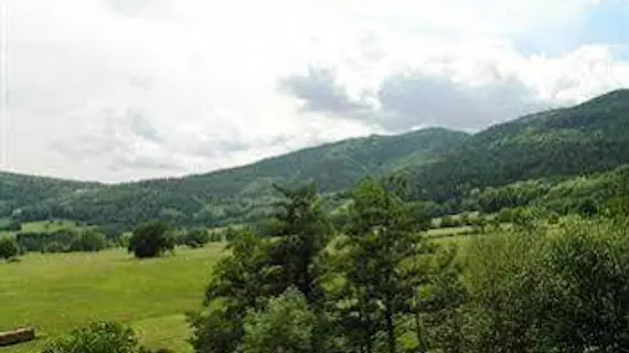 A l'Arbre Vert | Grand Est - Haut-Rhin (bölge) - Soultzmatt - Wintzfelden