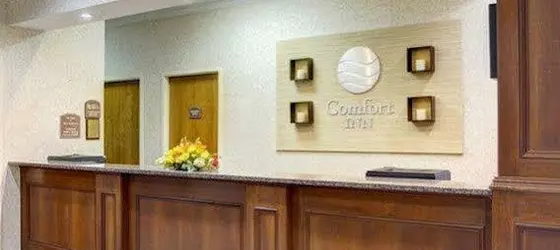 Comfort Inn Alexandria Landmark | Virginia - İskenderiye