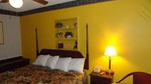 Ellijay Inn | Georgia - Blue Ridge (ve civarı) - Ellijay